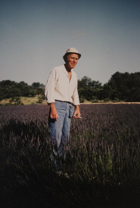 Loek in lavendelveld